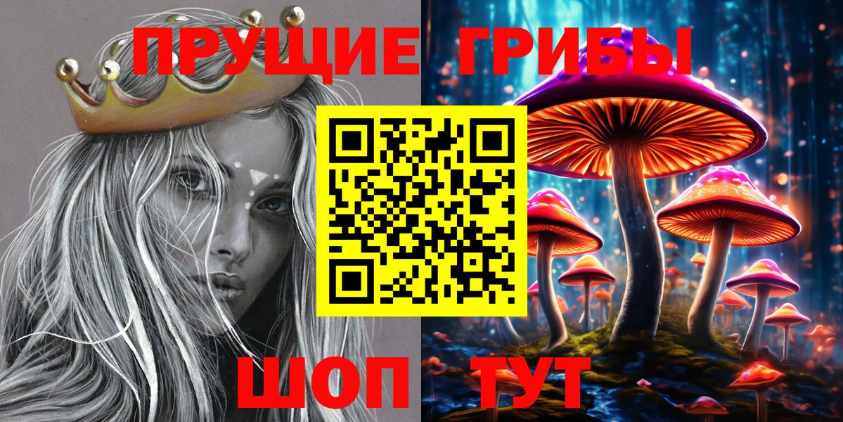 Галлюциногенные грибы MAGIC MUSHROOMS  Вход с VPN  где купить наркоту  Воткинск 